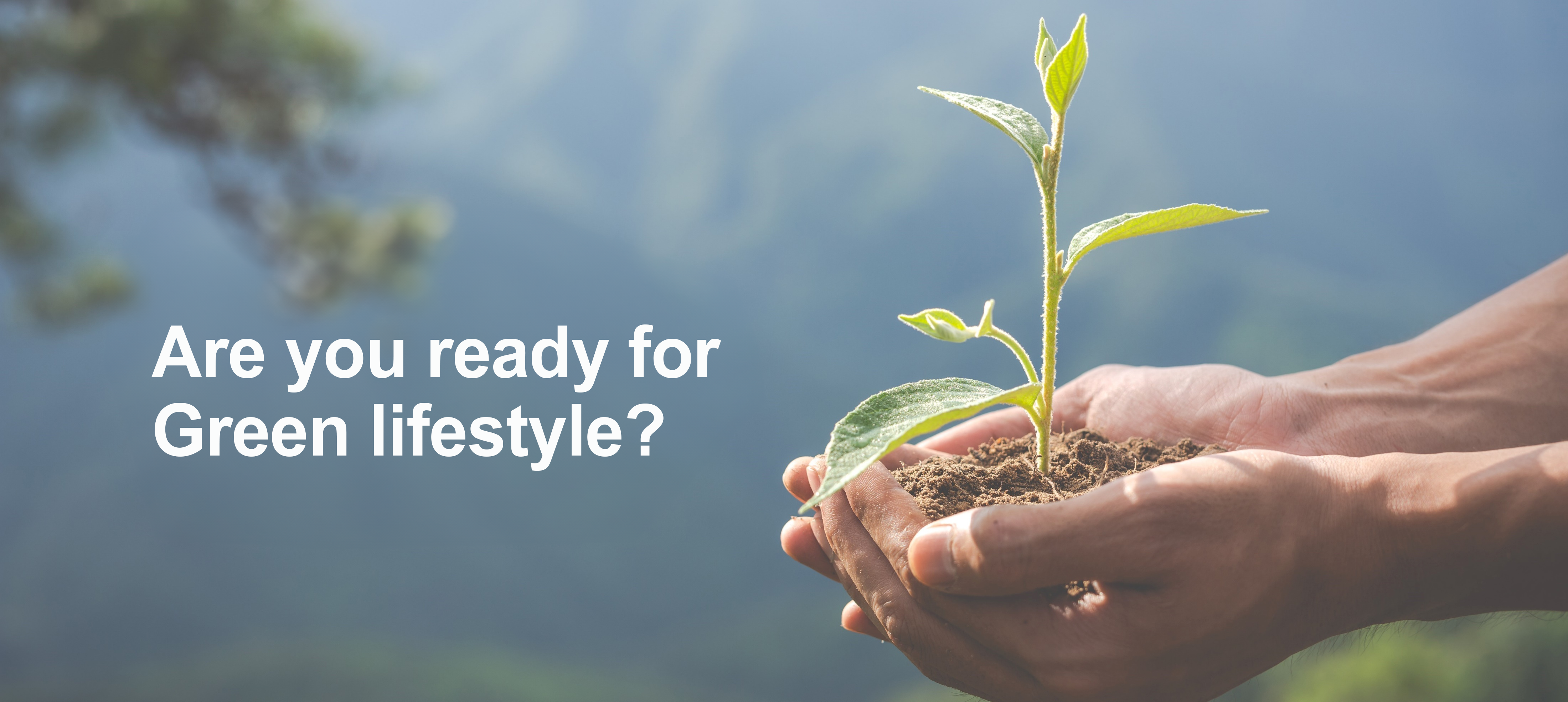 Naturaplug.com Guide: Benefits, Uses & Honest Insights